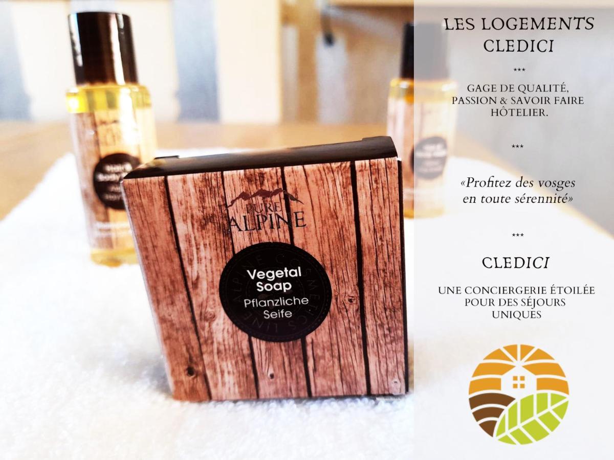 ⁂⁂ LE NID DE PIERRE&JULIE [CLEDICIHOME] 2 pas du centre ville / SPA&TERASSE AMENAGEE ⁂⁂ La Bresse Extérieur photo